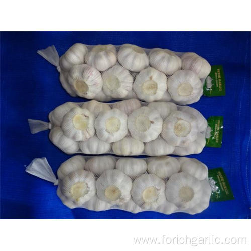 Hot Sale Normal Garlic